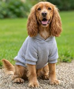 Dog Hoodies
