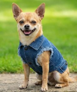 Dog Jackets