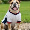 Dog’s football t-shirt